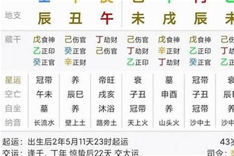 大運伏吟|八字大运伏吟 (大运与时柱复吟的案例)